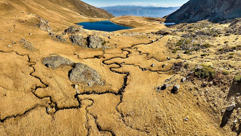 Приоритетни активности насочени кон унапредување на професионалноста на службените лица