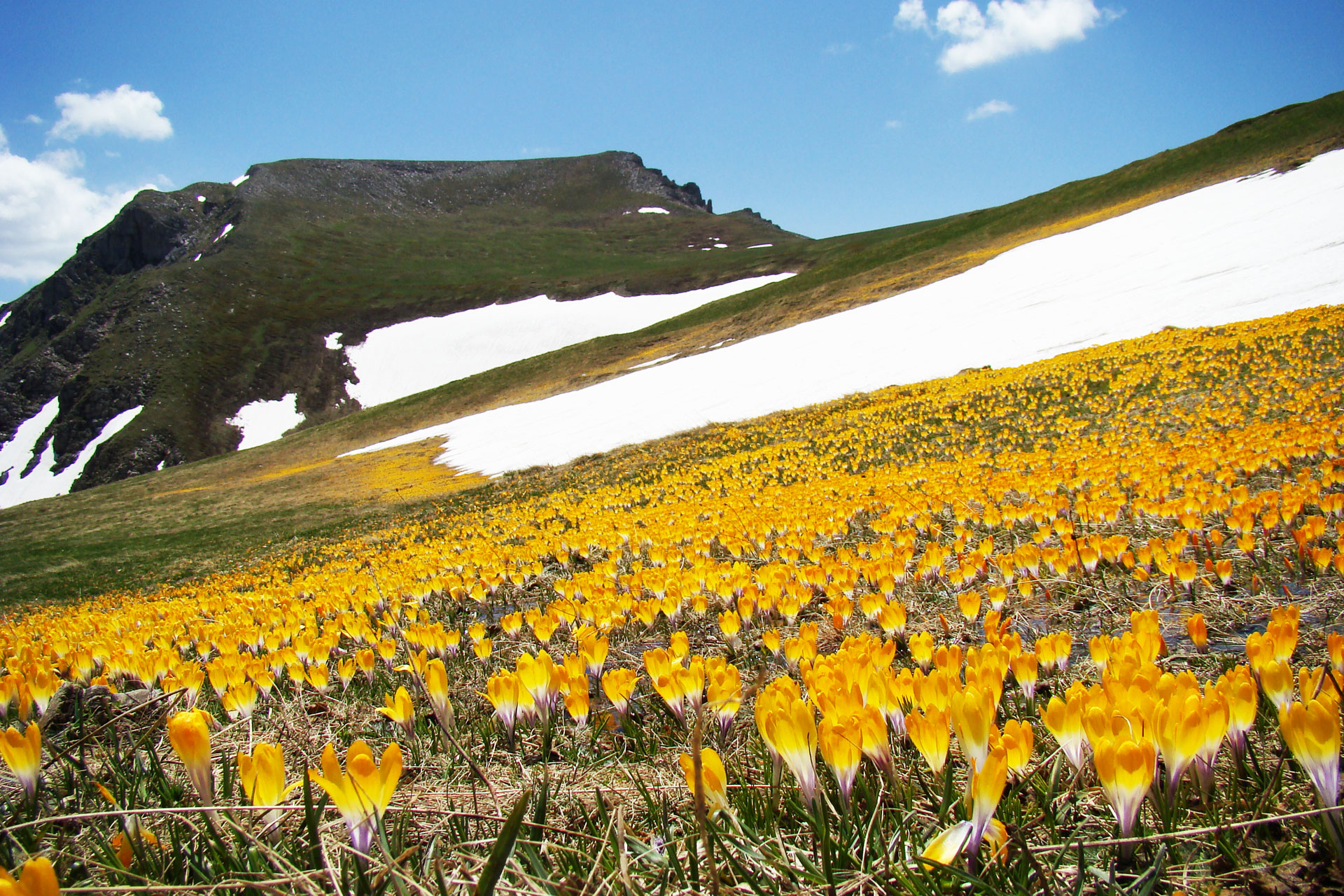 пуштање во употреба на мониторинг станица за квалитет на воздух во Гевгелија