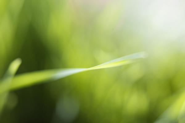 Ќе се исклучат инструментите од мониторинг системот во Велес