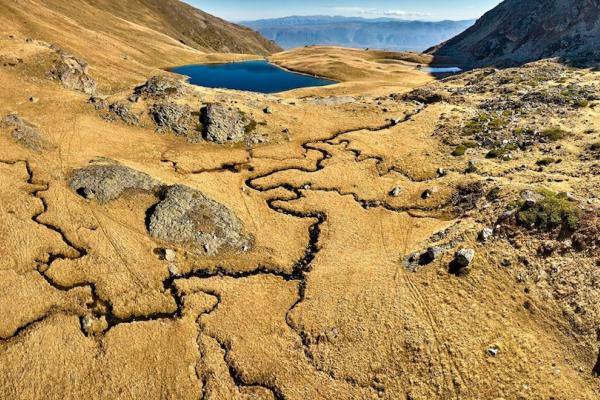 Приоритетни активности насочени кон унапредување на професионалноста на службените лица
