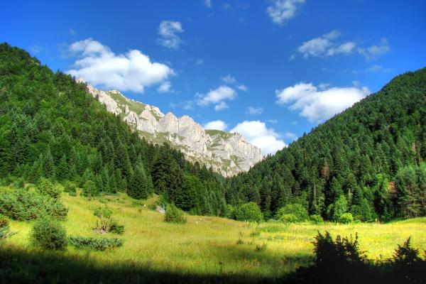 Мерни станици