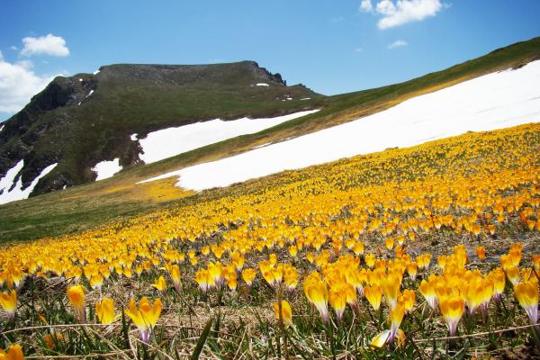 пуштање во употреба на мониторинг станица за квалитет на воздух во Гевгелија